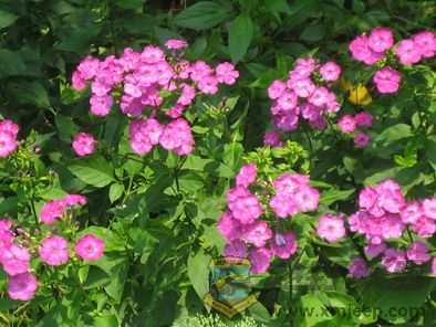 ��Ƭ 054_resize.jpg