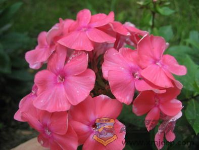 ��Ƭ 114_resize.jpg