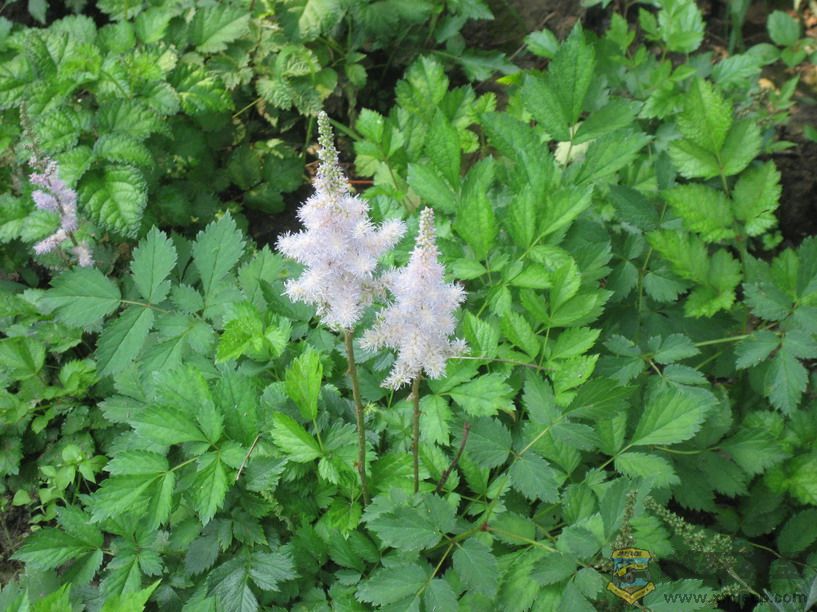 ��Ƭ 036_resize.jpg