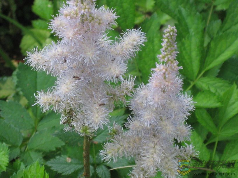 ��Ƭ 037_resize.jpg