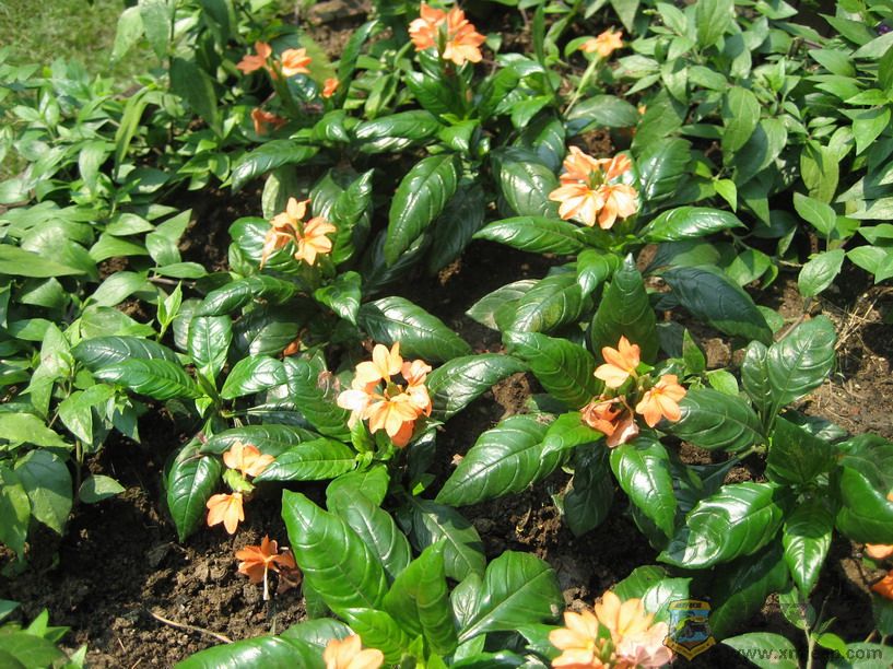 ��Ƭ 056_resize.jpg