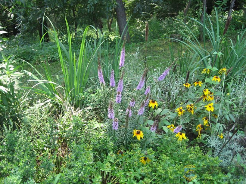 ��Ƭ 048_resize.jpg