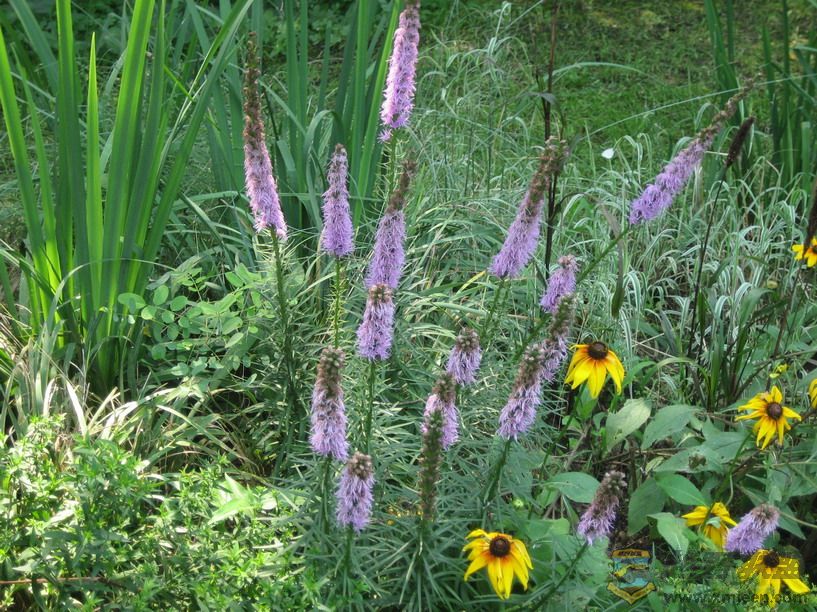 ��Ƭ 049_resize.jpg