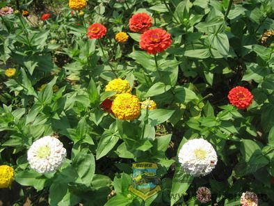 ��Ƭ 156_resize.jpg