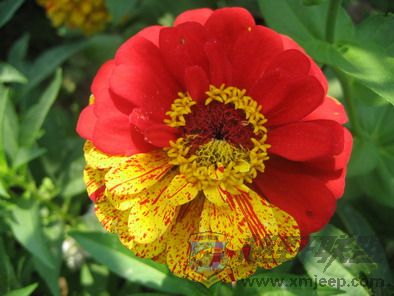 ��Ƭ 158_resize.jpg