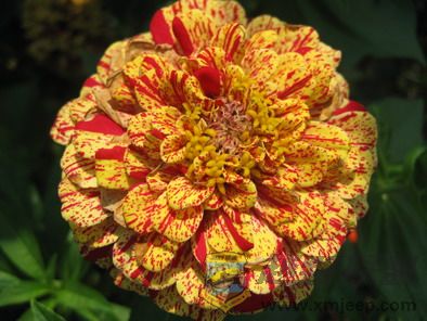 ��Ƭ 159_resize.jpg