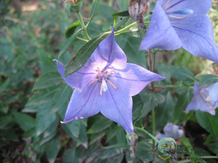 ��Ƭ 047_resize.jpg