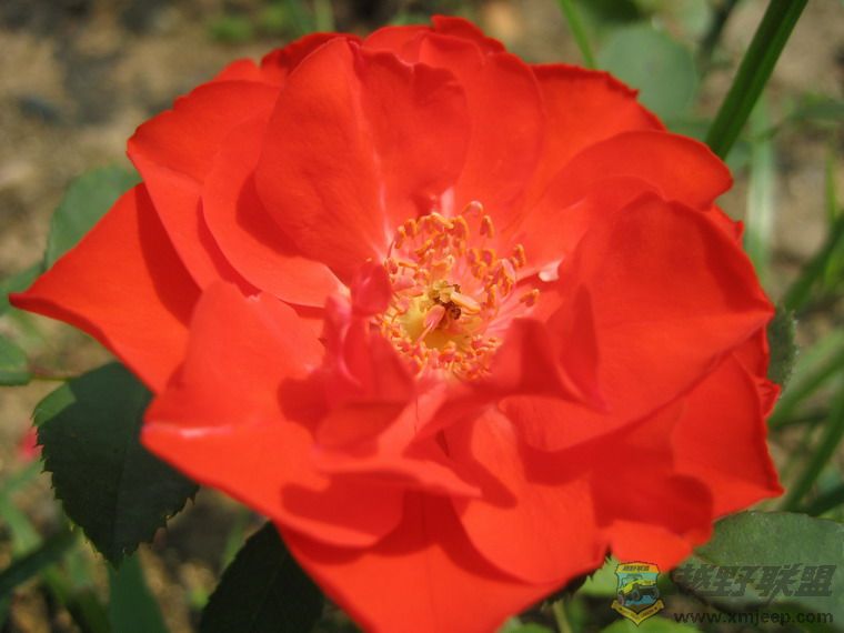 ��Ƭ 061_resize.jpg