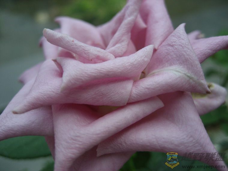 ��Ƭ 062_resize.jpg