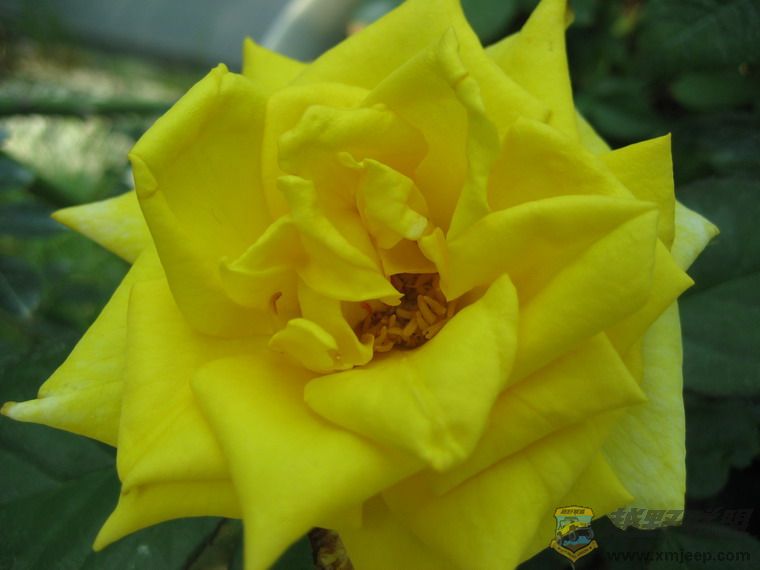 ��Ƭ 063_resize.jpg