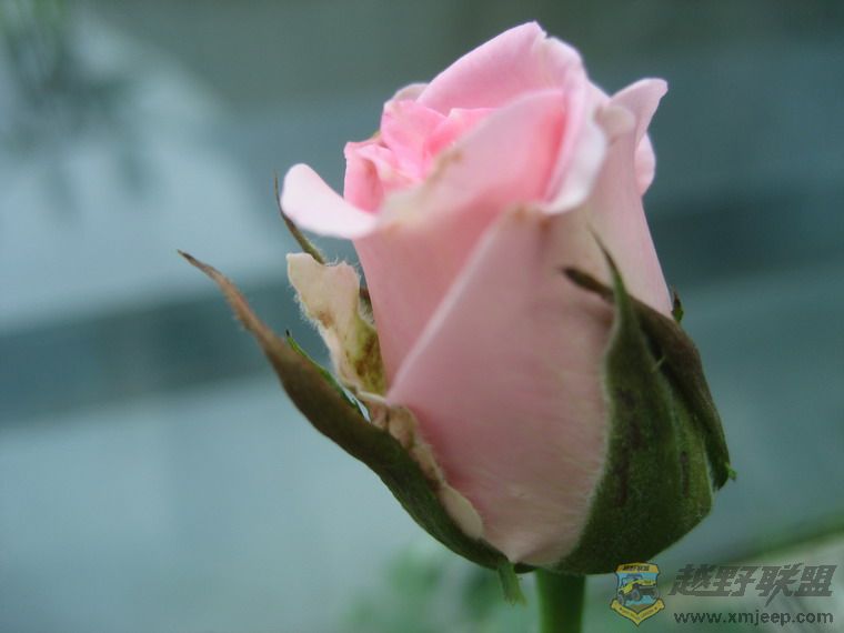 ��Ƭ 064_resize.jpg