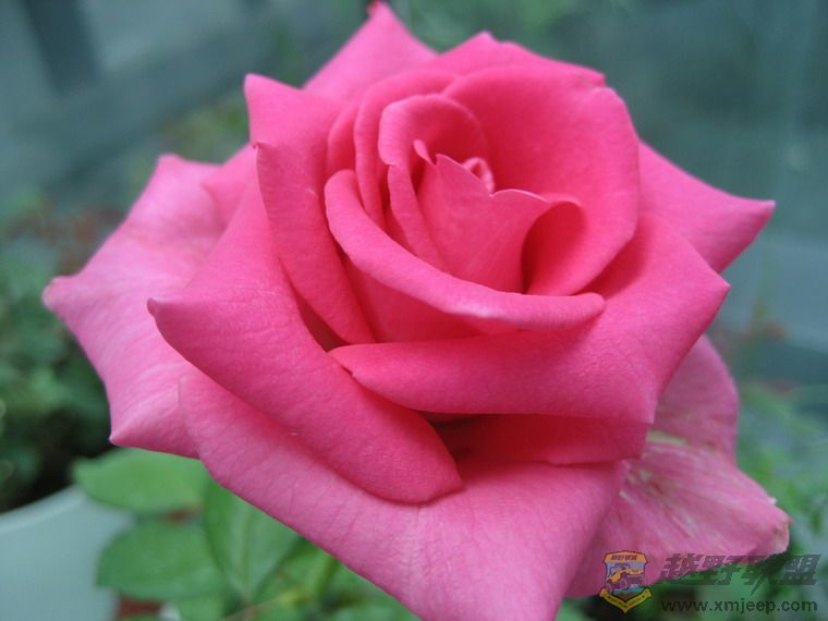 ��Ƭ 065_resize.jpg