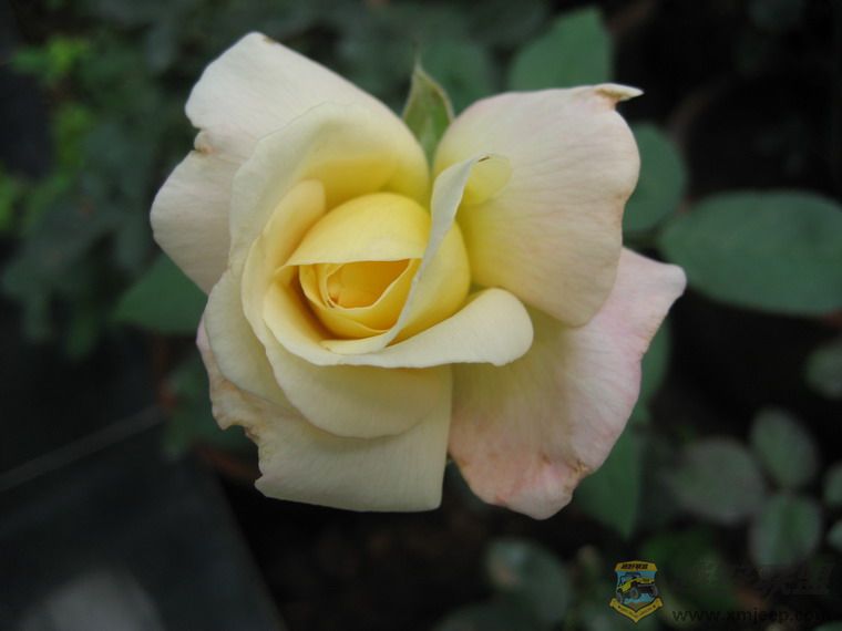 ��Ƭ 066_resize.jpg