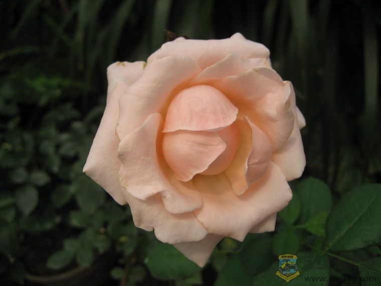 ��Ƭ 067_resize.jpg