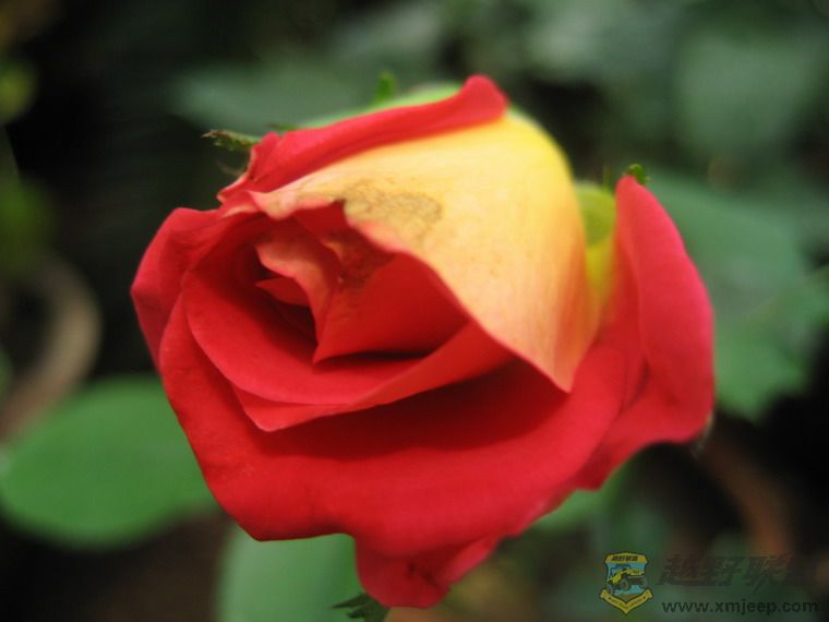 ��Ƭ 068_resize.jpg