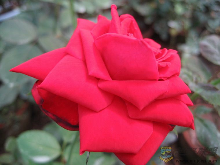 ��Ƭ 069_resize.jpg