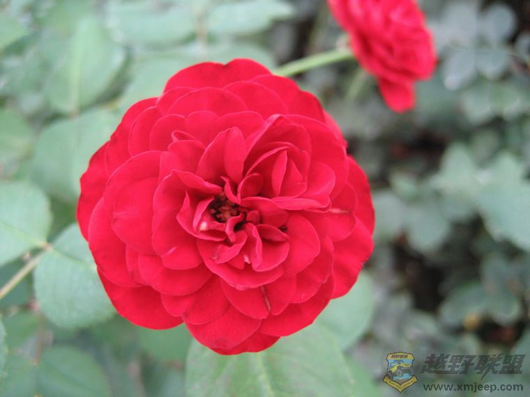 ��Ƭ 071_resize.jpg