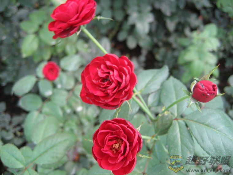 ��Ƭ 072_resize.jpg