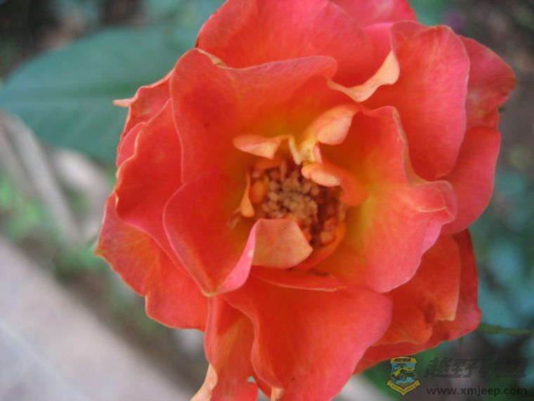 ��Ƭ 077_resize.jpg