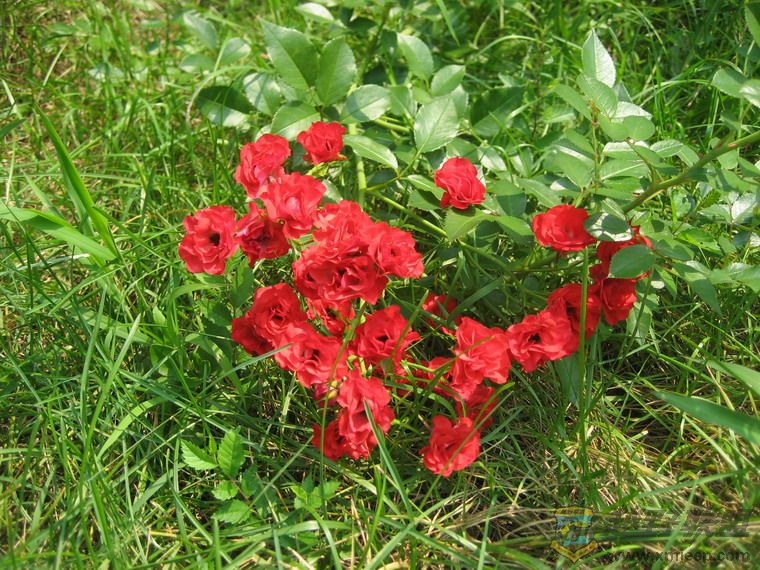 ��Ƭ 080_resize.jpg