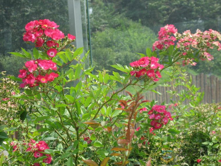 ��Ƭ 082_resize.jpg