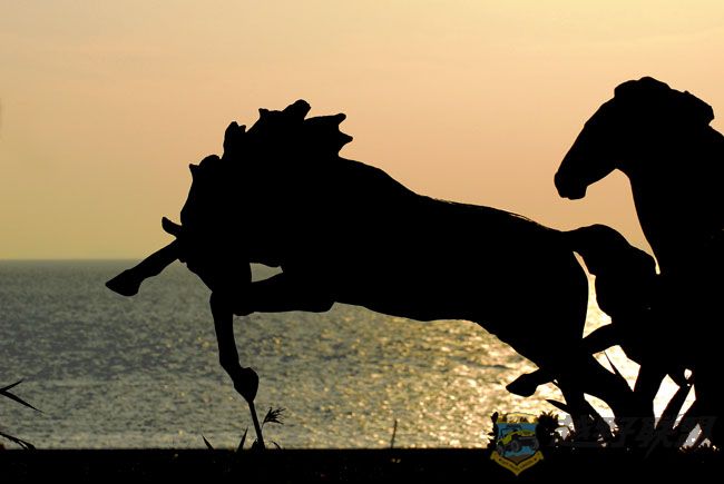 ���� 164.jpg