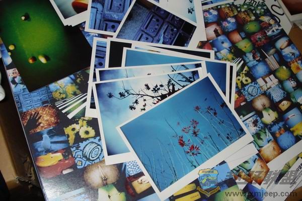 ������С DSC01295.JPG