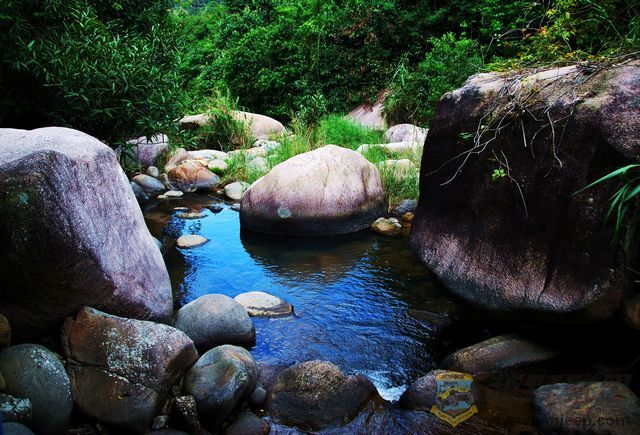 nEO_IMG_2008��10��19�ճ�̩�۷�ɽׯ 024.jpg