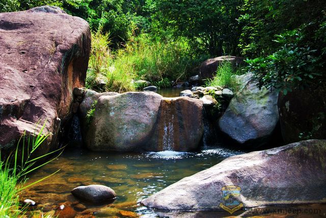 nEO_IMG_2008��10��19�ճ�̩�۷�ɽׯ 029.jpg