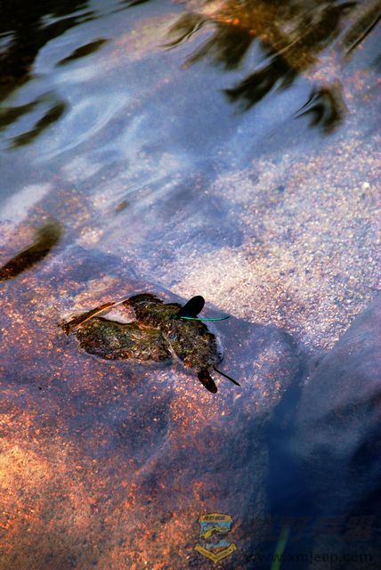 nEO_IMG_2008��10��19�ճ�̩�۷�ɽׯ 032.jpg