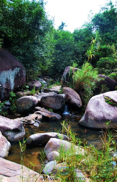 nEO_IMG_2008��10��19�ճ�̩�۷�ɽׯ 034.jpg