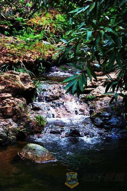 nEO_IMG_2008��10��19�ճ�̩�۷�ɽׯ 035.jpg