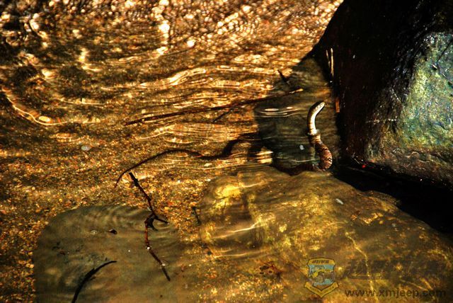 nEO_IMG_2008��10��19�ճ�̩�۷�ɽׯ 047.jpg