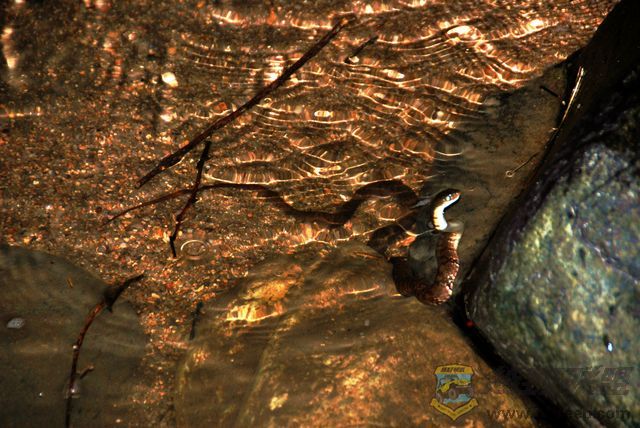 nEO_IMG_2008��10��19�ճ�̩�۷�ɽׯ 048.jpg