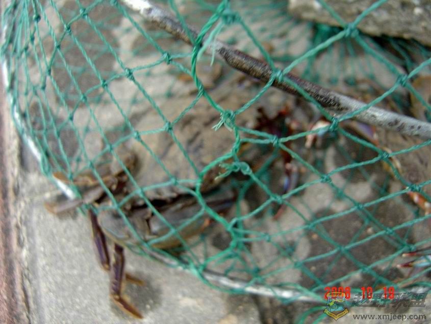 ������С �����ع� DSC09727.JPG