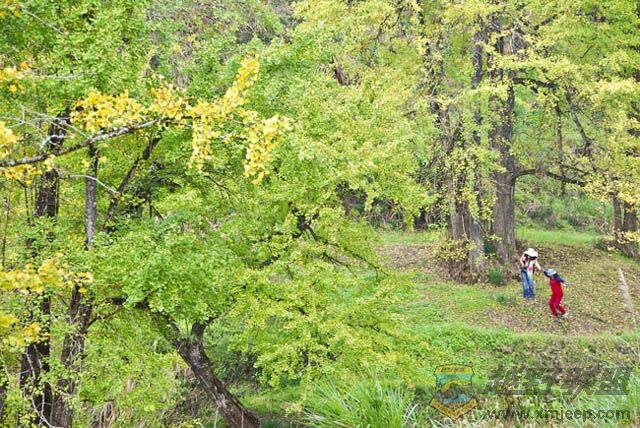 ���� xiao838.jpg