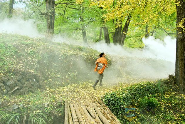 ����xiao 977.jpg