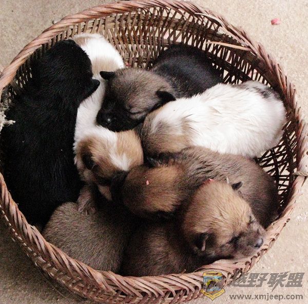 ��Ƭ С����.jpg