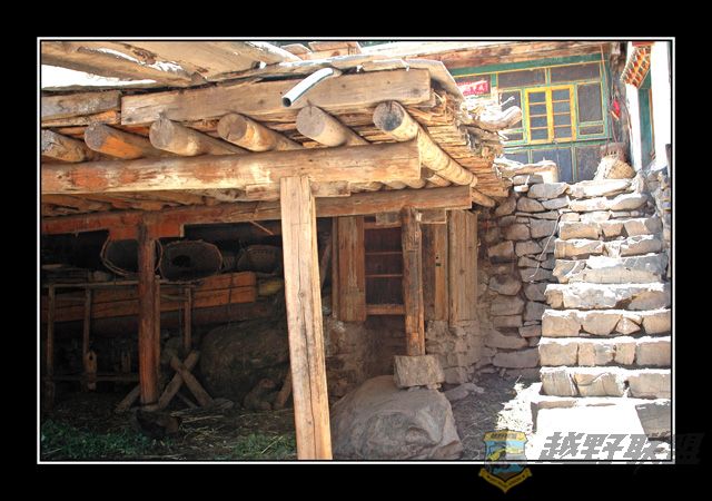 ���� DSC_6955.jpg