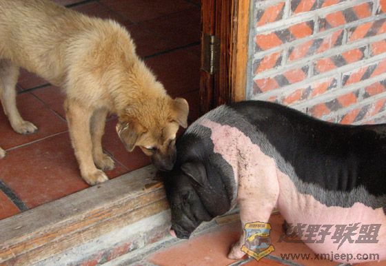 ͬ����Ϫ 077.jpg