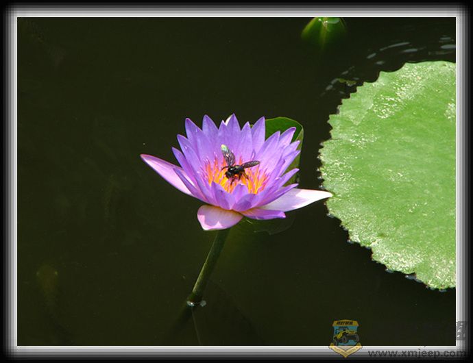 ������ 035.jpg