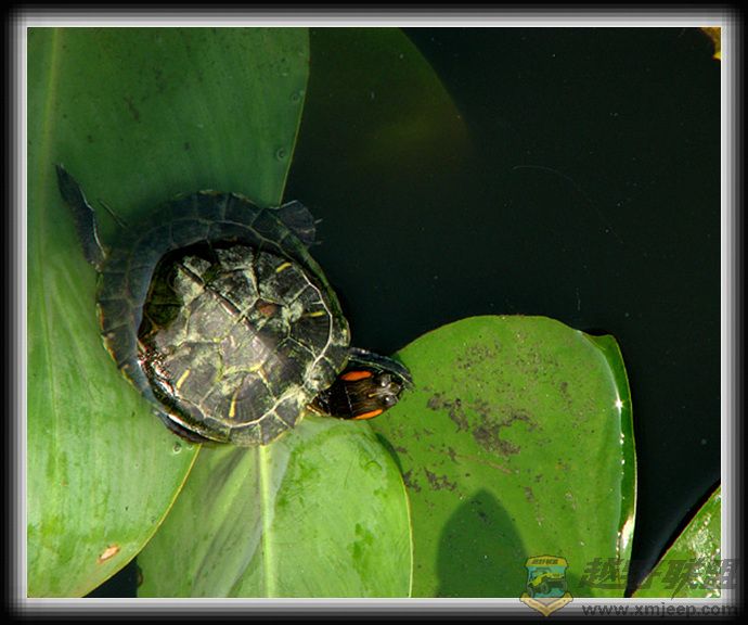 ������ 025.jpg