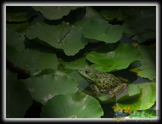 ������ 058.jpg