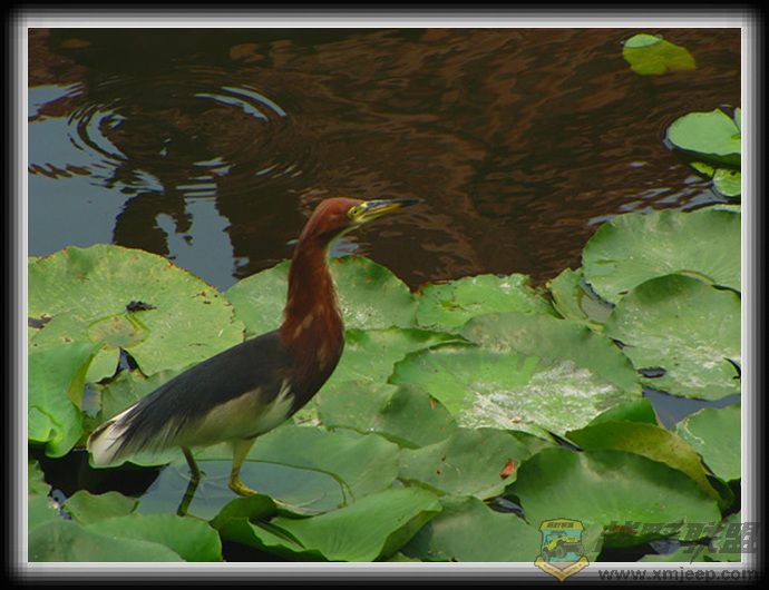 ������ 061.jpg