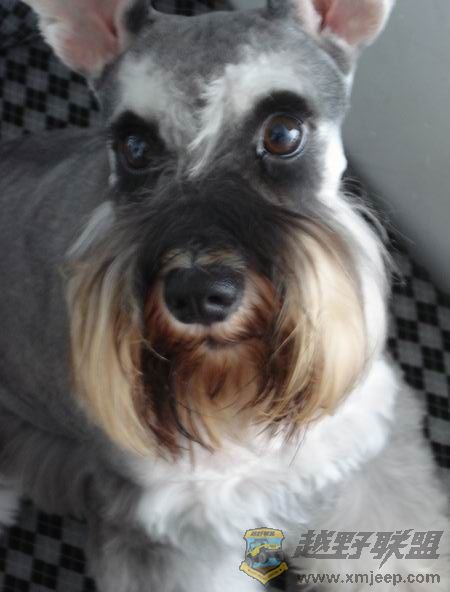 ��ת ������С DSC01494.JPG