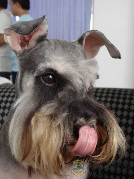 ��ת ������С DSC01475.JPG