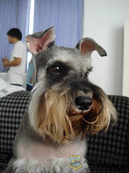 ��ת ������С DSC01473.JPG