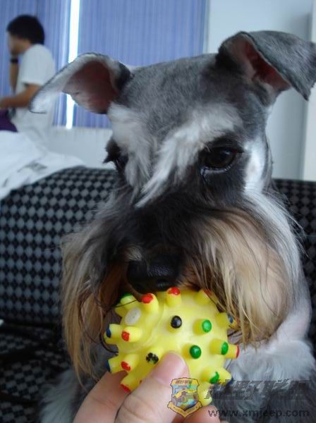 ��ת ������С DSC01471.JPG