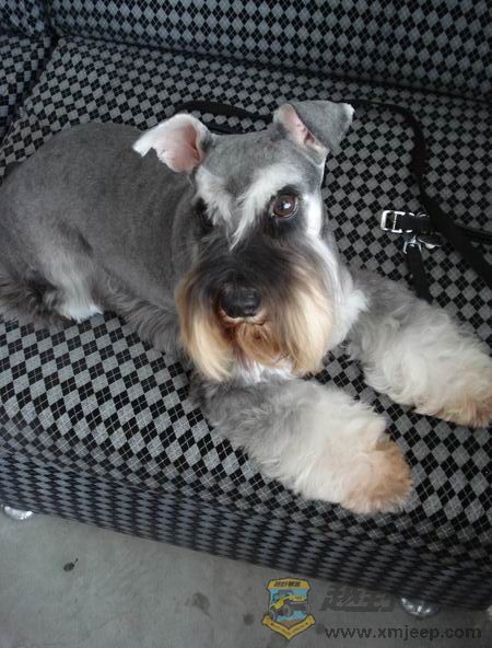 ��ת ������С DSC01462.JPG