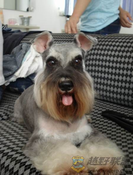 ��ת ������С DSC01461.JPG